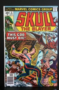Skull the Slayer #8 (1976)