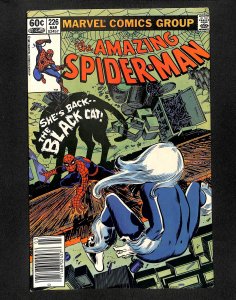 Amazing Spider-Man #226 Black Cat!