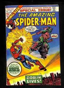 Amazing Spider-Man Annual #9 Green Goblin!