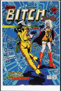 Mean Bitch Thrills (1971)