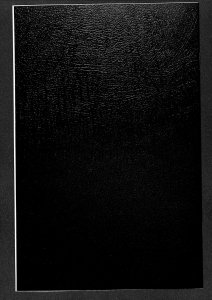 Lady Death: The Crucible #1 NM/M 9.8 Premium Limited Edition!