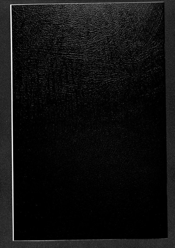 Lady Death: The Crucible #1 NM/M 9.8 Premium Limited Edition!