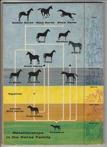 Dell Giant #1 (Apr-55) VG/FN Mid-Grade 