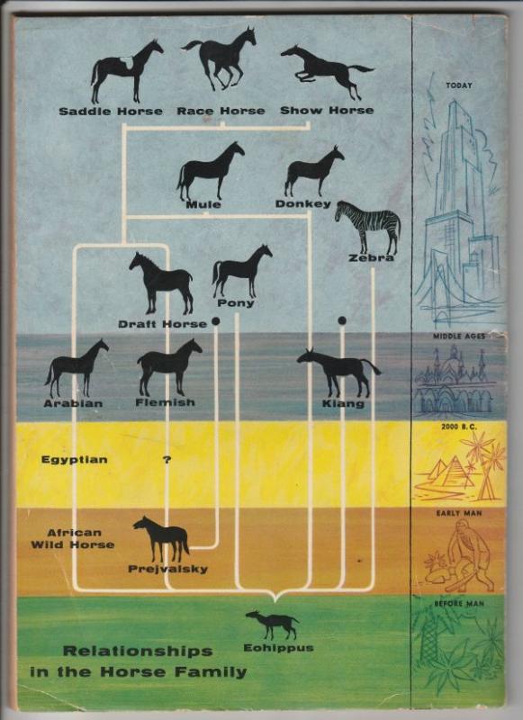 Dell Giant #1 (Apr-55) VG/FN Mid-Grade 