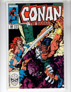 Conan the Barbarian #204 (1988) - [NSC•ECA7]