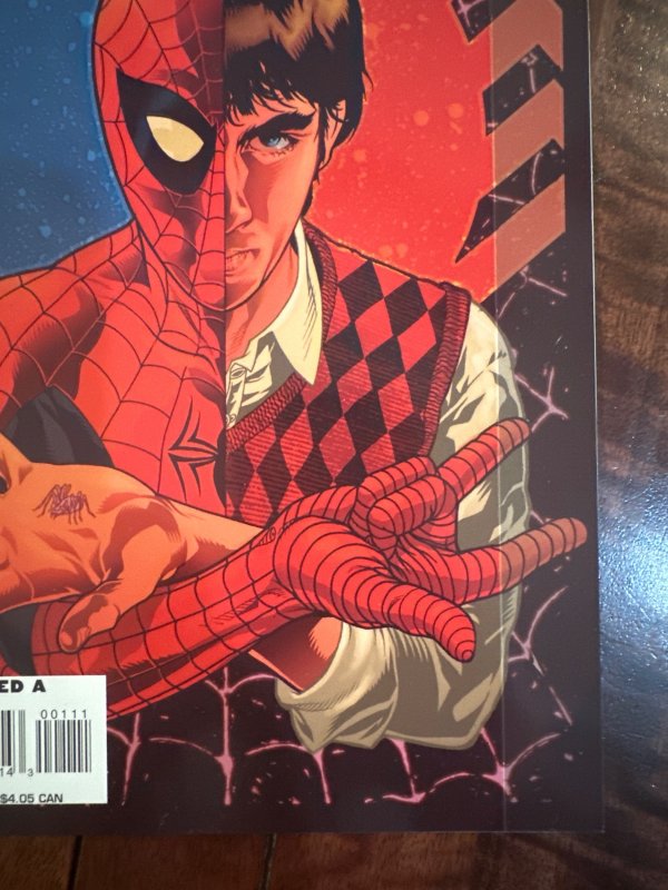 Spider-Man: With Great Power... #1 (2008)