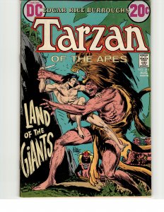 Edgar Rice Burroughs' Tarzan #211 (1972)