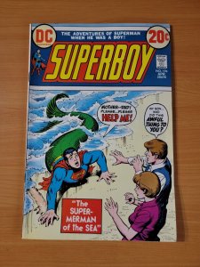 Superboy #194 ~ NEAR MINT NM ~ 1973 DC Comics