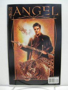 *Angel: After The Fall (WHEDON/Willingham) LOT #16-30. (IDW, 2009, 17 Books!)