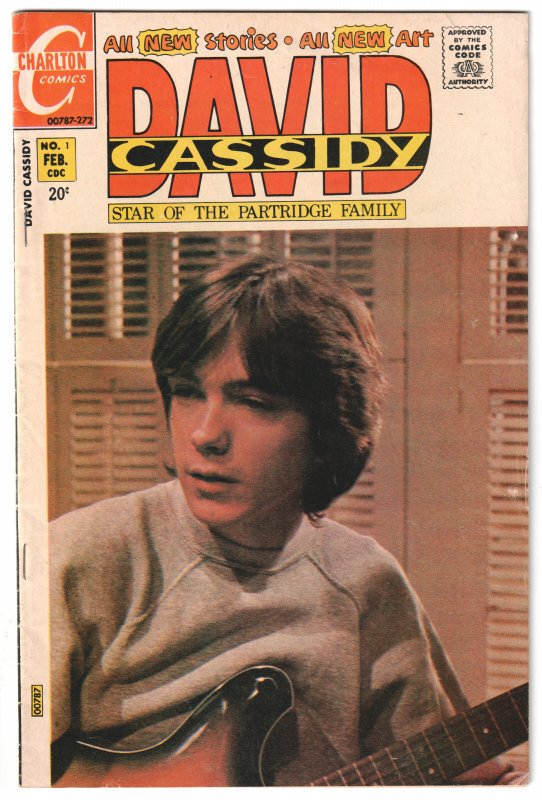 David Cassidy #1 (1972) The Partridge Family!