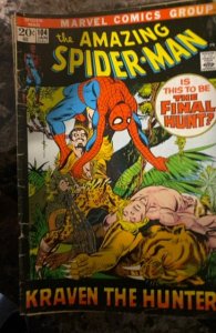 The Amazing Spider-Man #104 (1972) Spider-Man 