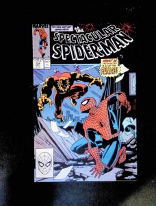Spectacular Spider-Man #172  Marvel Comics 1989 FN/VF