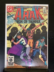 Arak, Son of Thunder #38 (1984)