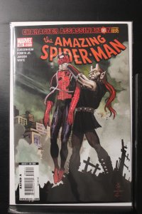 The Amazing Spider-Man #585 (2009)