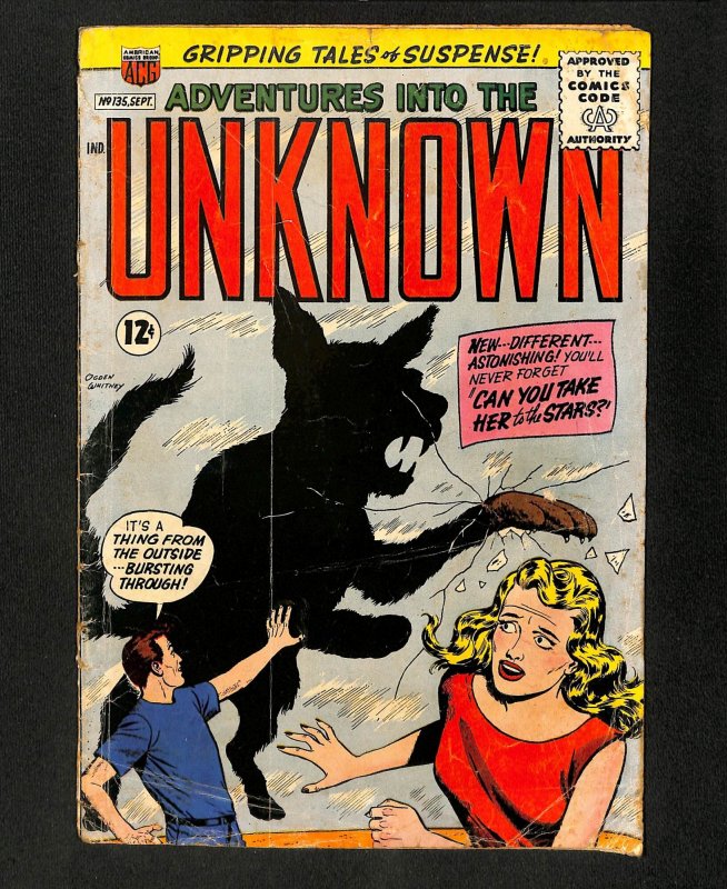 Adventures Into The Unknown #135