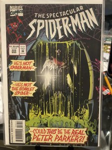 The Spectacular Spider-Man #222 (1995)