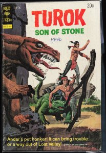 Turok, Son of Stone #89 (1974)