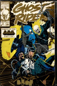Ghost Rider #5 Second Print Cover (1990) Ghost Rider