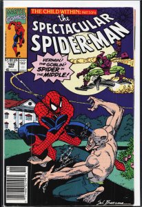 The Spectacular Spider-Man #182 (1991) Spider-Man