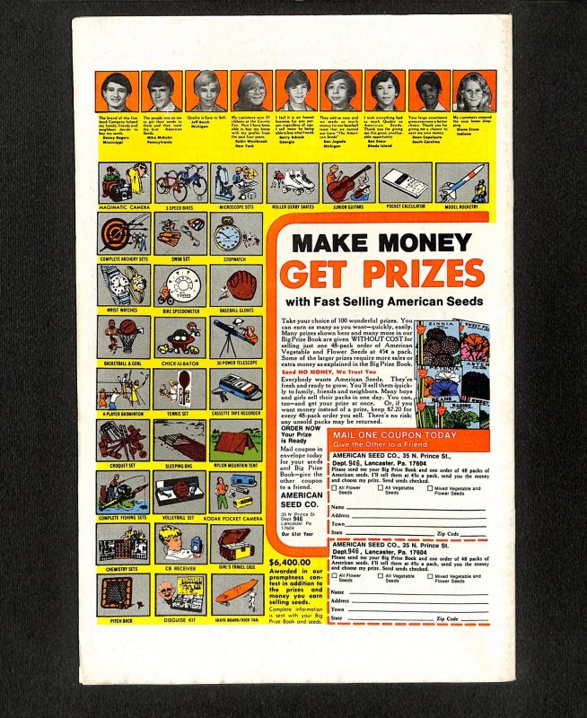 Spectacular Spider-Man #29