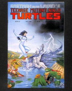 Teenage Mutant Ninja Turtles #27