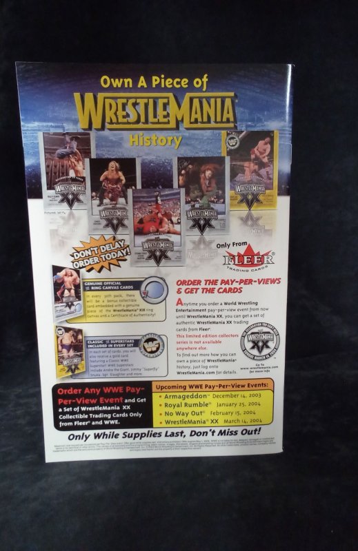 Batman: Death and the Maidens #5 (2004)