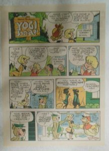 (20) Yogi Bear Sunday Pages by Hanna-Barbera from1979 Tabloid Page Size !