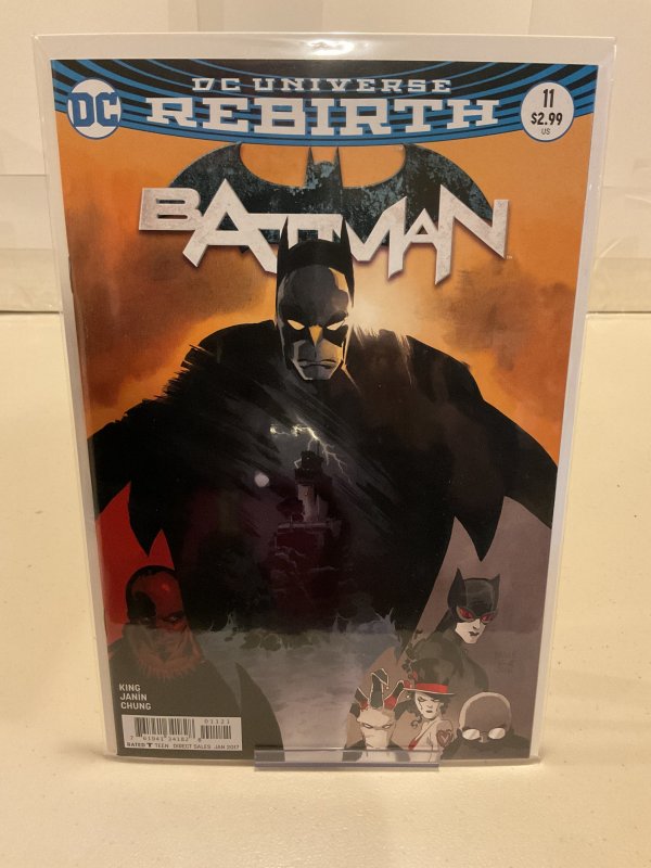 Batman #11  Tim Sale Variant!  2017  9.0 (our highest grade)