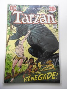 Edgar Rice Burroughs' Tarzan #216 (1973)