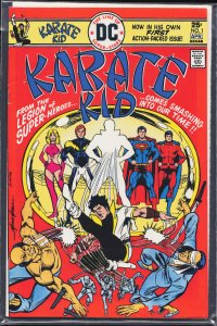 Karate Kid #1 (1976) Karate Kid