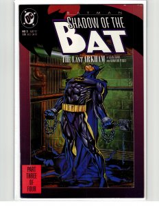 Batman: Shadow of the Bat #3 (1992) Batman