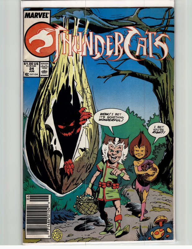 Thundercats #24 (1988) Thundercats