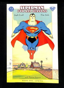 Superman For All Seasons #1