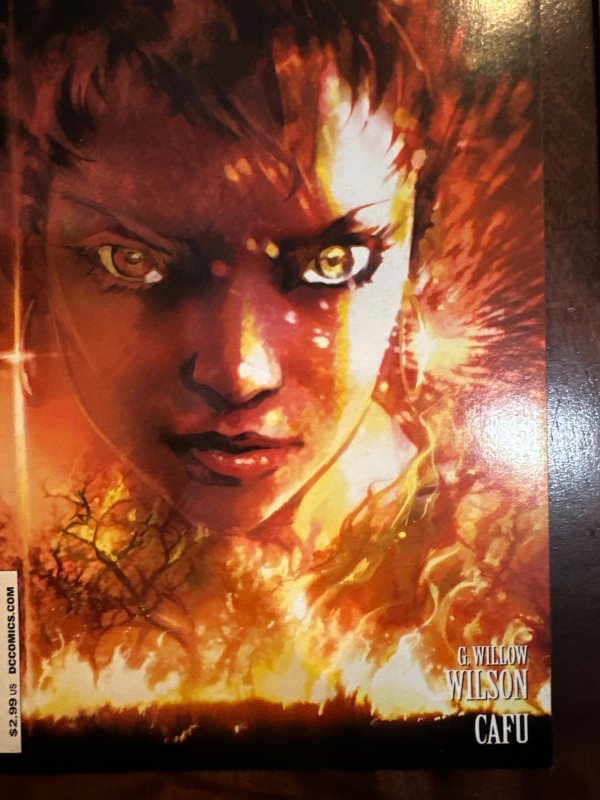 Vixen: Return of the Lion #5 (2009)