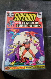 Superboy #197 (1973)