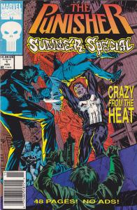 Punisher Summer Special #1