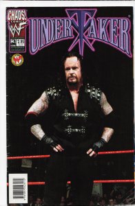 Undertaker #3 Variant Cover (1999)