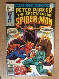 Peter Parker The Spectacular Spider-Man #14