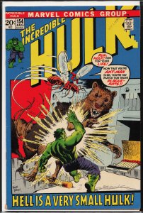 The Incredible Hulk #154 (1972) Hulk