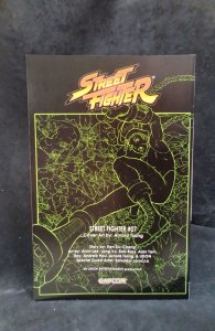 Street Fighter #7 (2004)