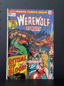 Werewolf by Night #7  (1973)