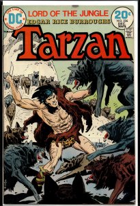 Edgar Rice Burroughs' Tarzan #226 (1973)