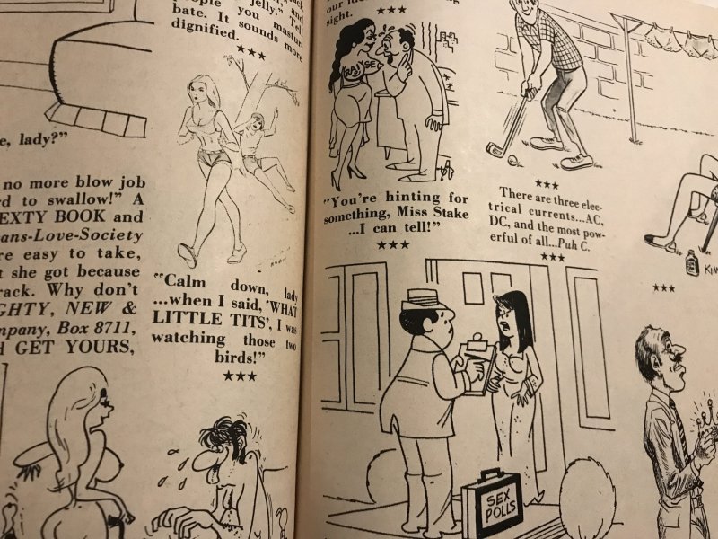 SEX TO SEXY #145 : SRI 1981 VF; Adult Cartoons & Jokes; Bill Ward, Pierre Davis