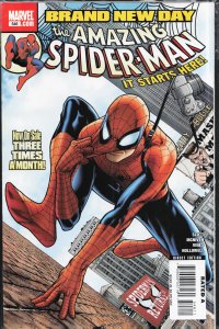 The Amazing Spider-Man #546 (2008) [Key Issue]