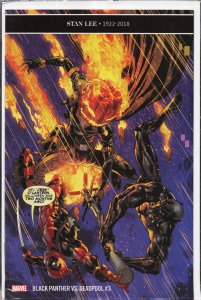 Black Panther vs. Deadpool #3 (2019)