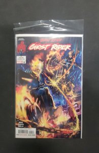 Danny Ketch: Ghost Rider #4 (2023)