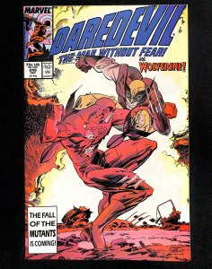 Daredevil #249 (1987)
