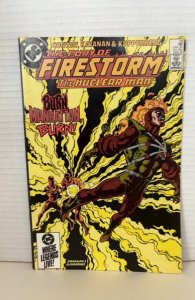 The Fury of Firestorm #33 (1985)