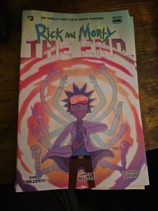 Rick and Morty The End Issues 1 2 3 4 Blank Cover - Five Friggin' Comics