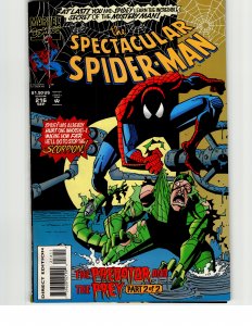 The Spectacular Spider-Man #216 (1994) Spider-Man